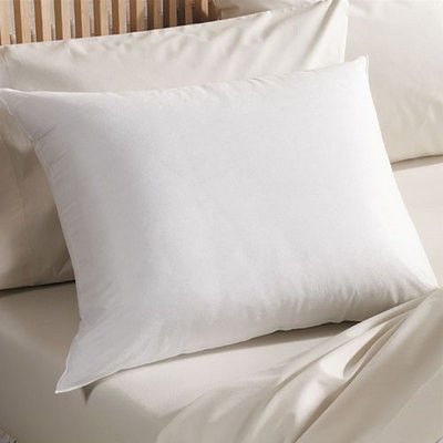 All Cotton Allergy Pillow